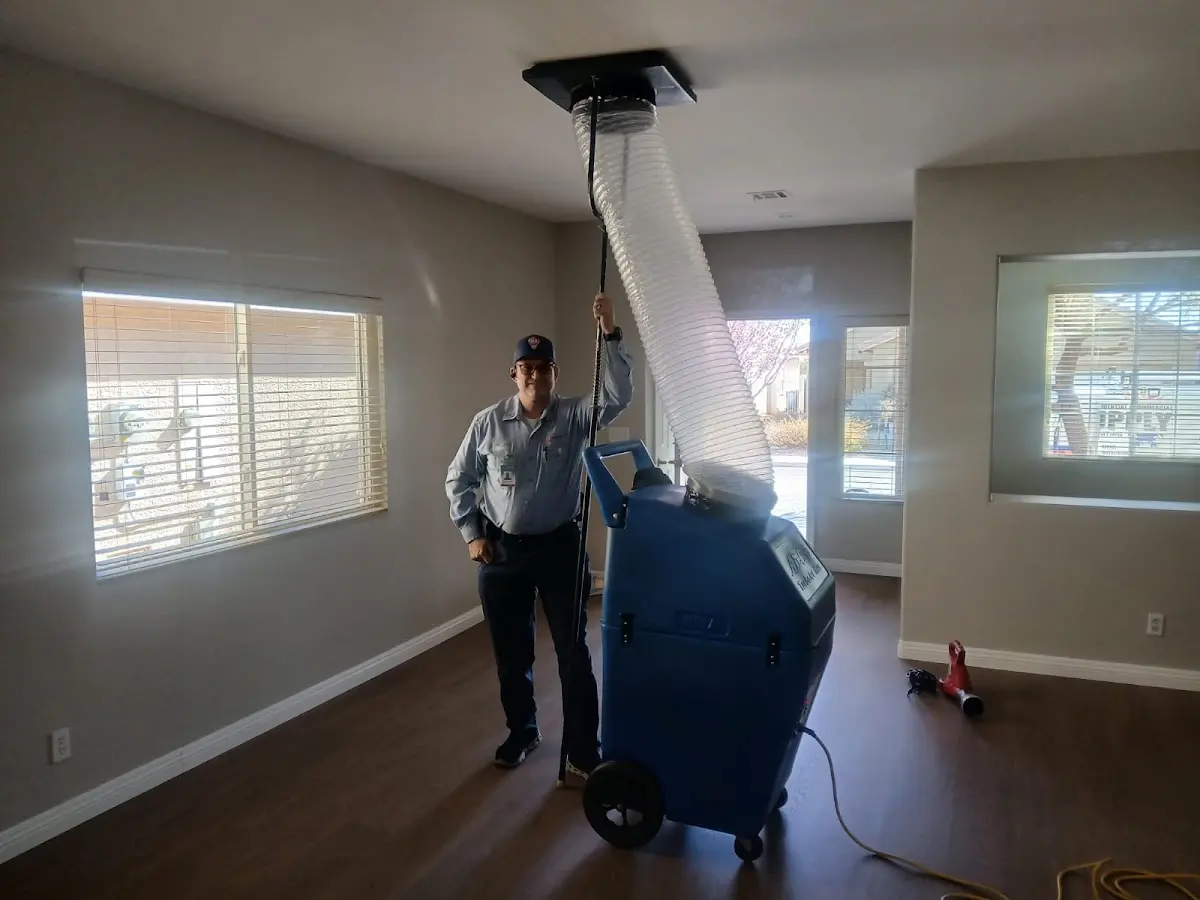 Professional Emergency HVAC Repair work inside a Elk Grove Village home